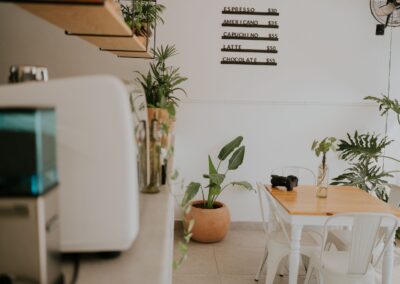 Stylish cafe interior with plants and minimalist decor, perfect for coffee lovers.